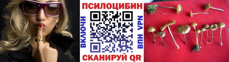 Галлюциногенные грибы Magic Shrooms  Купить  Остров 